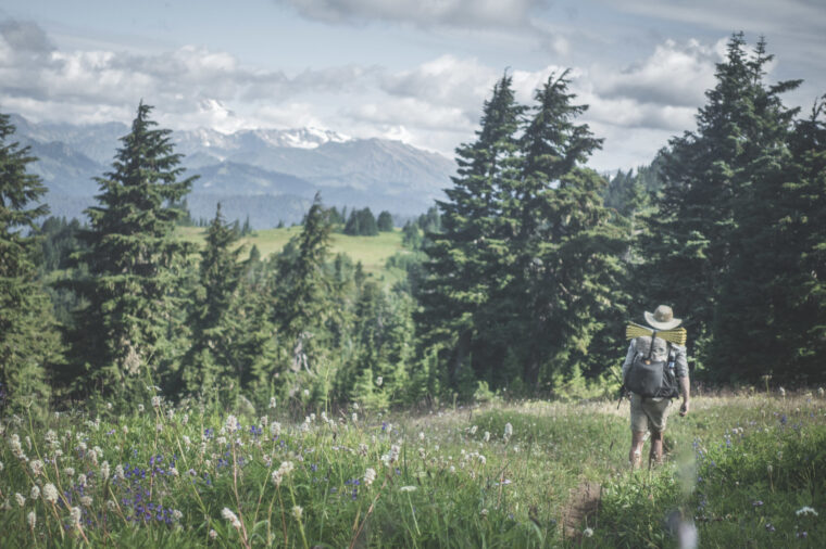 Pacific Crest Trail Length, Hiking Time, and Amazing FKTs